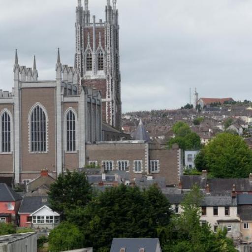Catedral de Santa María y Santa Ana (Cork)