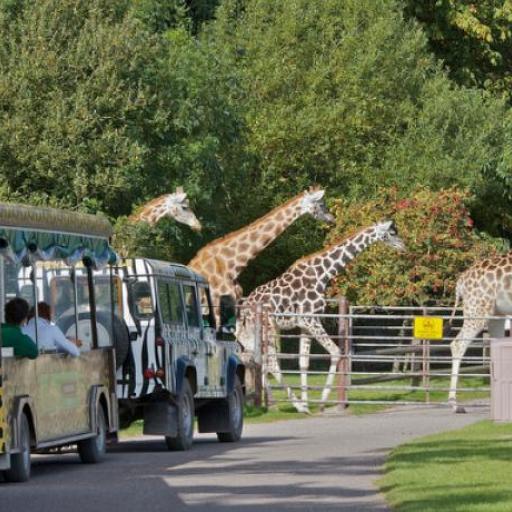 Fota Wildlife Park