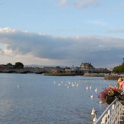 Limerick
