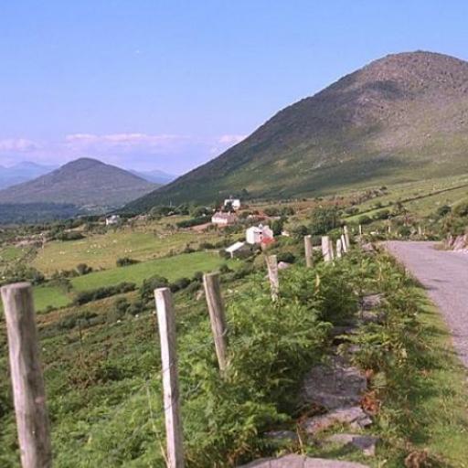 Beara