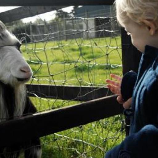 Ark Open Farm