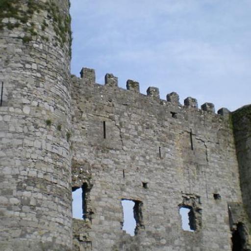 Carlow Castle
