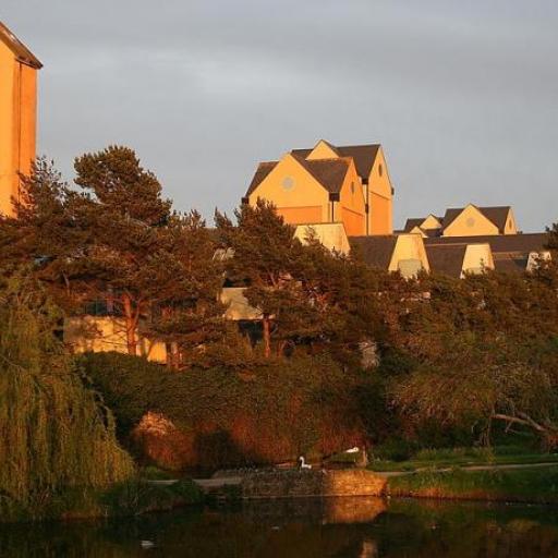 Naas
