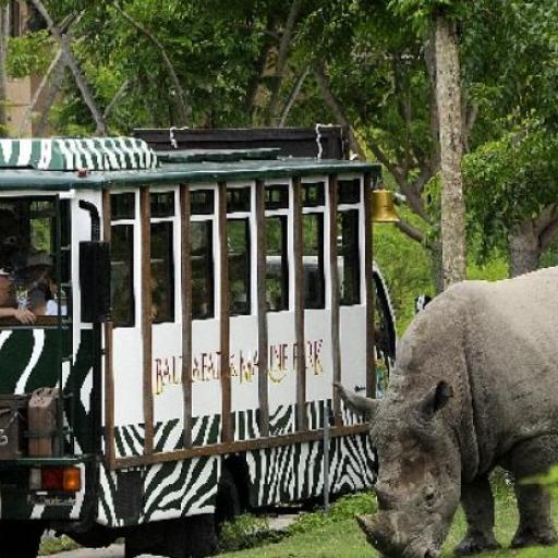 Bali Safari & Marine Park