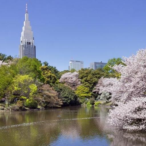Shinjuku Gyoen