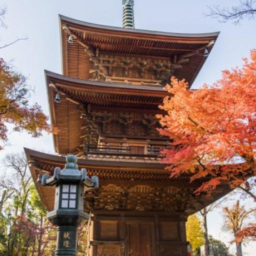 Gotokuji Temple 