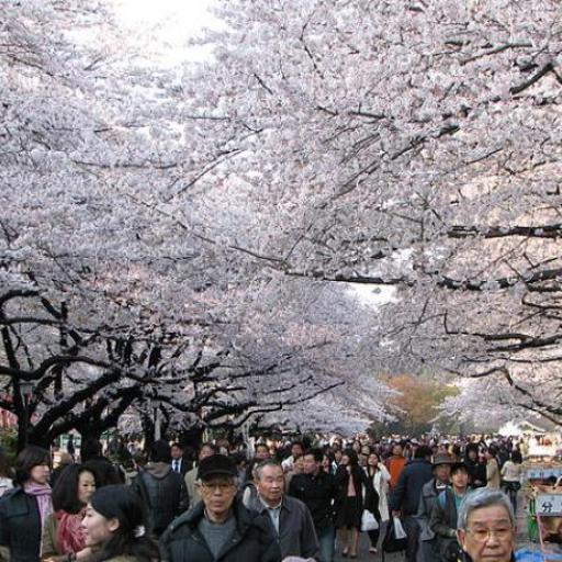 Ueno
