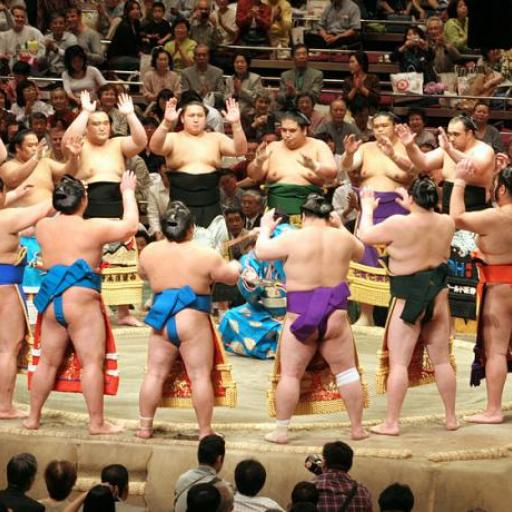 Musée de Sumo Kokugikan