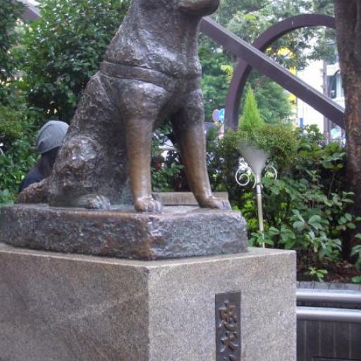 Hachikō