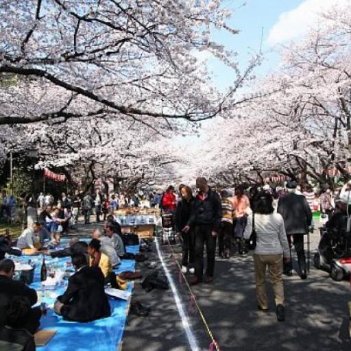 Parc d'Ueno