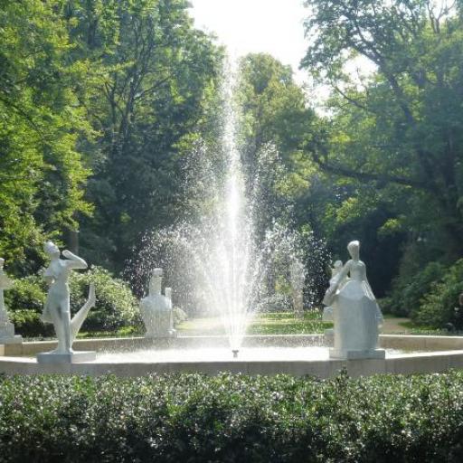 Haarlemmerhout