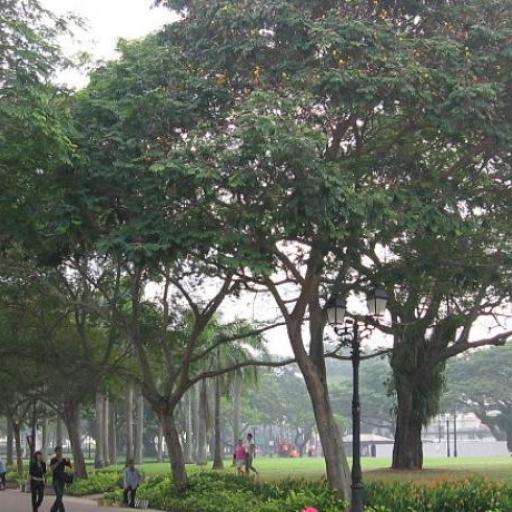 Parc de l'Esplanade