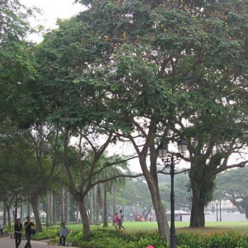 Esplanade Park