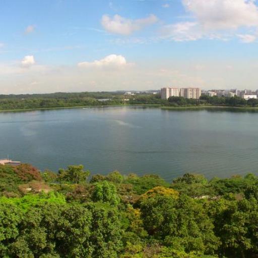 Bedok Reservoir