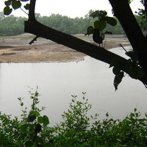 Sungei Buloh Wetland 