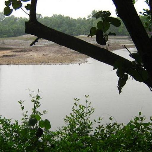 Réserve de Sungei Buloh