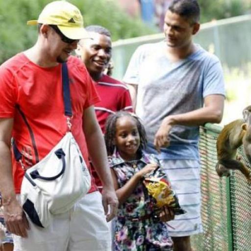 Salvador Zoo