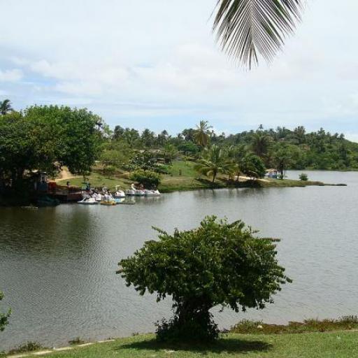 Pituaçu Metropolitan Park