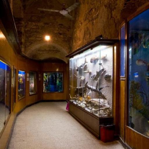 Alexandria Aquarium