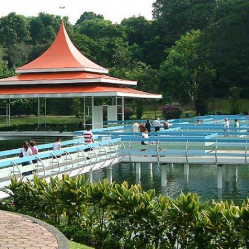 MacRitchie Reservoir