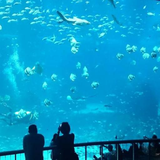 Marine Life Park