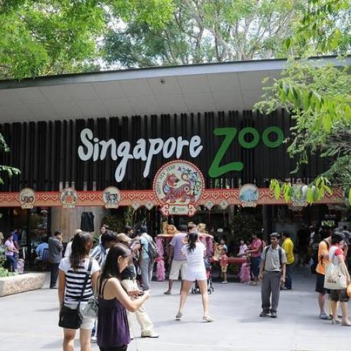 Zoológico de Singapur