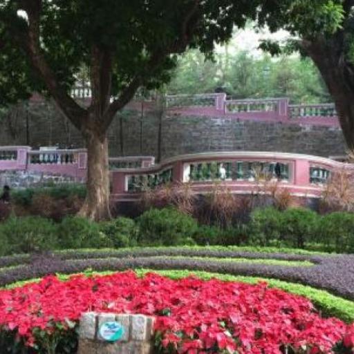 Сад Jardim da Flora