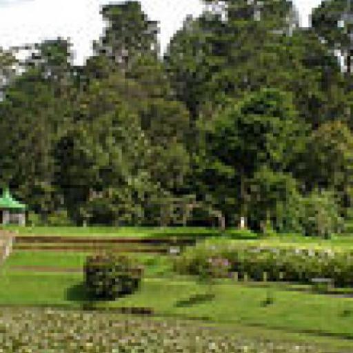 Nuwara Eliya
