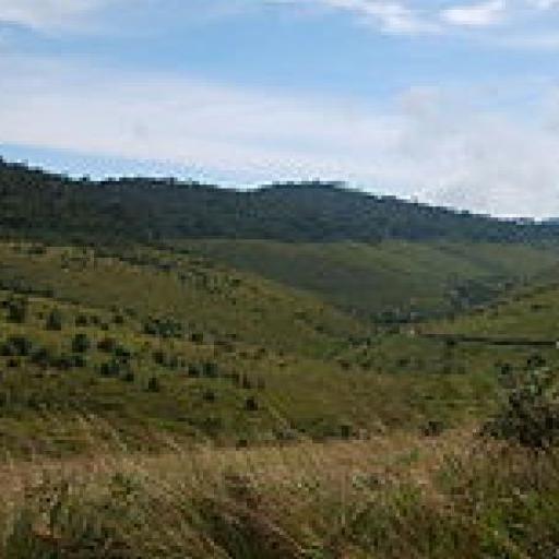 Horton Plains 