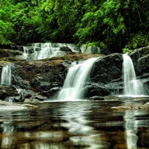 Sinharaja Forest Reserve