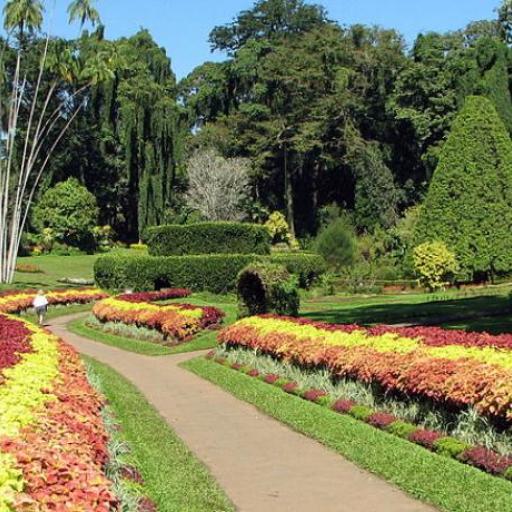 PeradeniyaGardens 