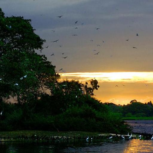Bundala National Park