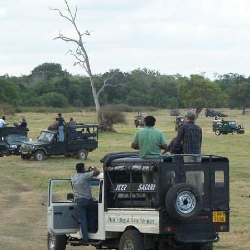 Minneriya National Park