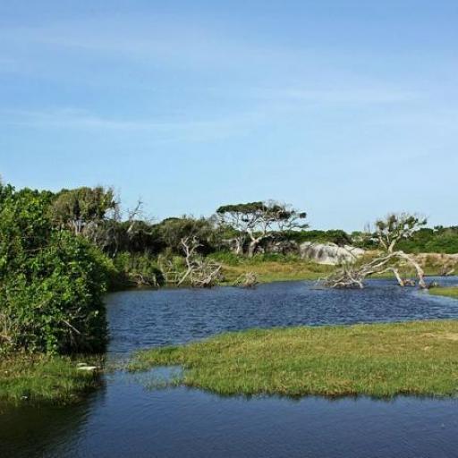 Kumana National Park