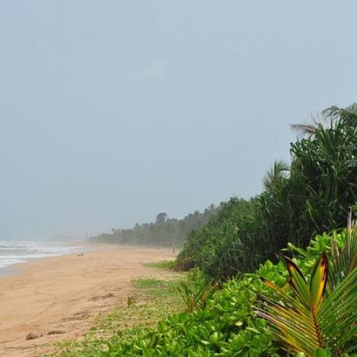 Bentota