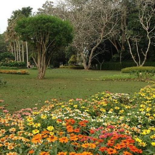 Henarathgoda Botanical Ga