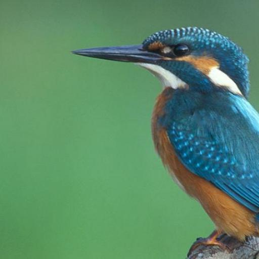 Parc de Lahugala Kitulana