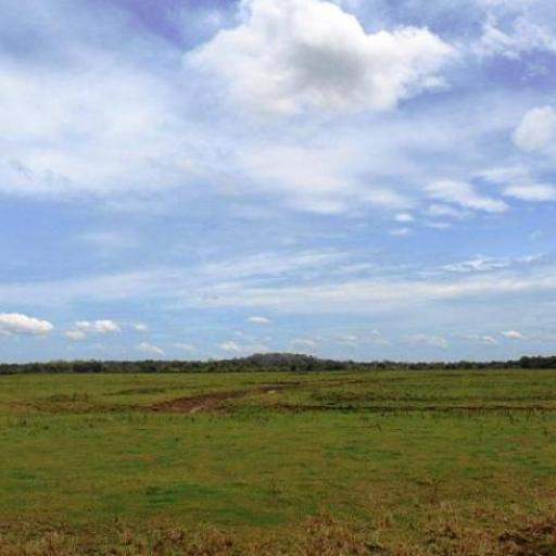 Somawathiya National Park