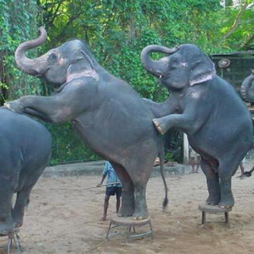 National Zoological Garde