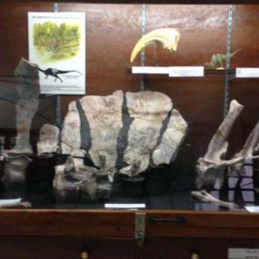 Savannakhet Dinosaurier-