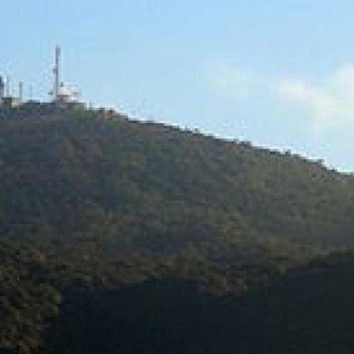 Pidurutalagala
