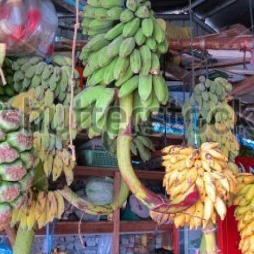 Local Market Maldives 