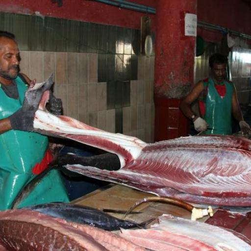 Fish Market- Maldives