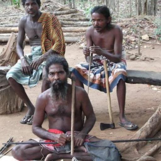 Visite d'un Village Vedda