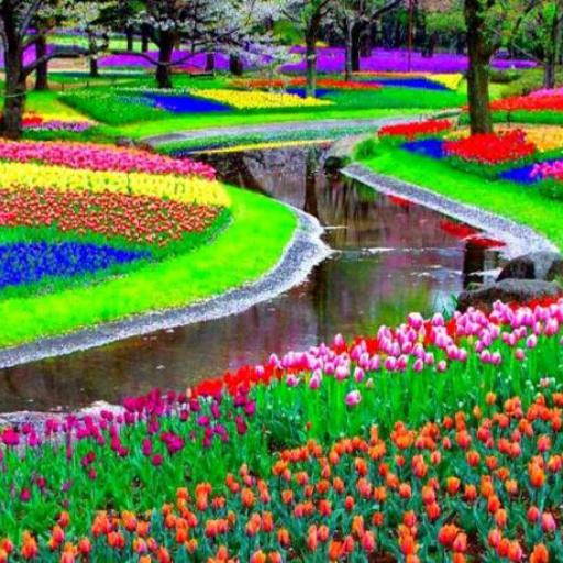 Keukenhof, Lisse
