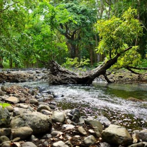 Parque Nacional Bras d’Ea