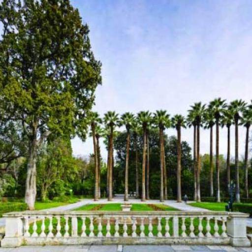 Jardin national d'Athènes