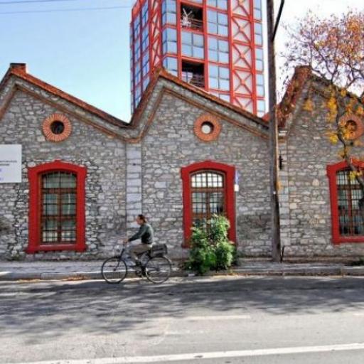Palia