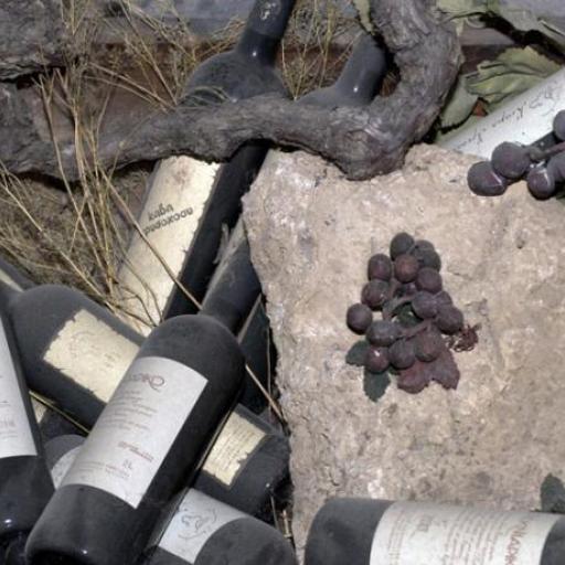 Wine and Vine Museum (Naoussa)