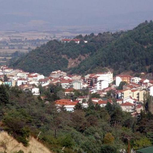 Florina